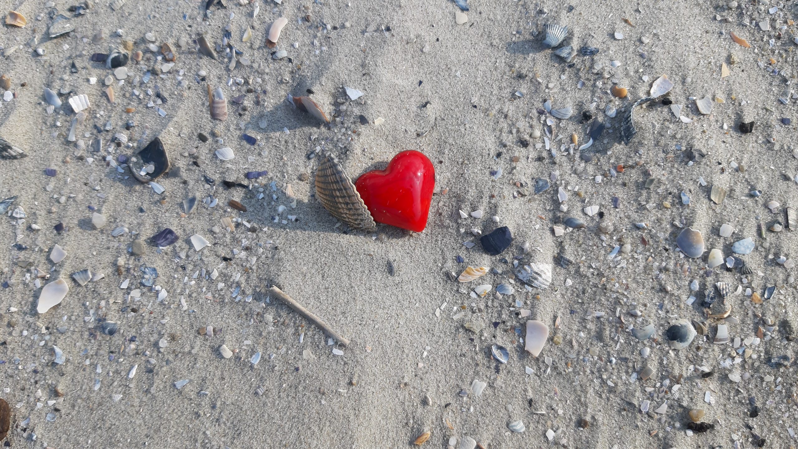 Strand mit rotem Herz und Muscheln